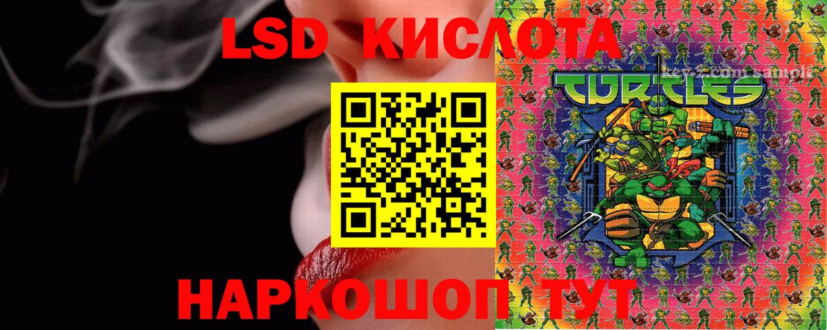 КОКАИН  Канабис  Прохладный  АМФЕТАМИН   Метадон  Кокаин  МЕФ кристаллы  MDMA  Конопля  Цена  ГАШИШ  Меф  Альфа ПВП СОЛЬ   Вход с VPN 