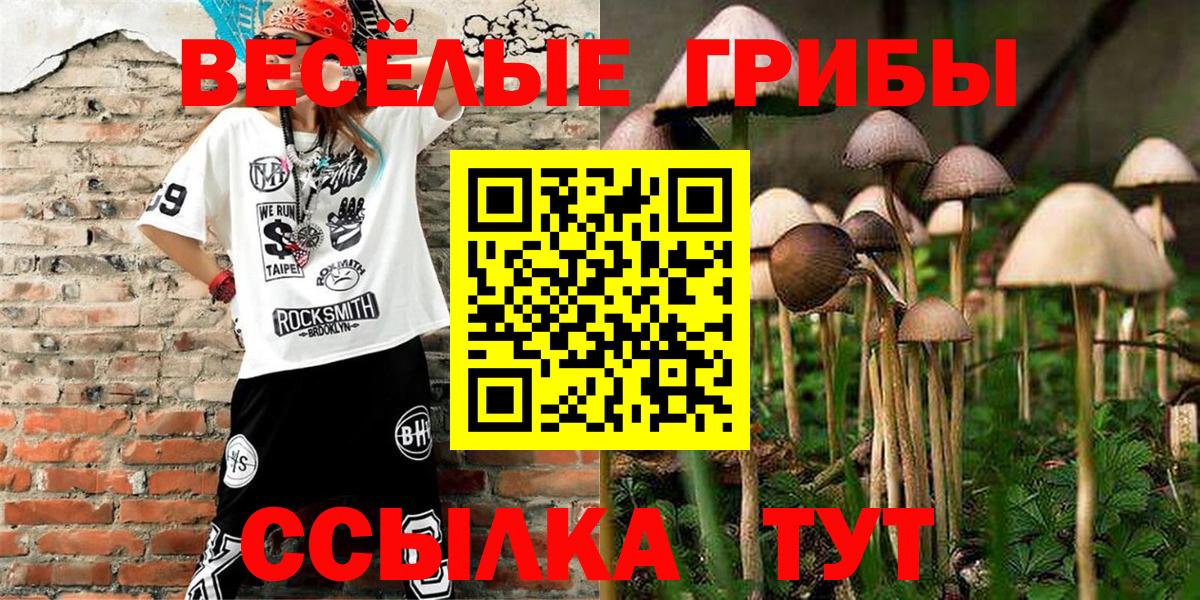 Галлюциногенные грибы мухоморы  Галлюциногенные грибы мицелий  Прохладный  Вход с VPN 